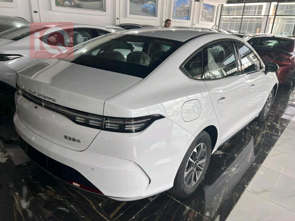 بي واي دي ديستروير 05